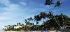 Image of Barcelo Capella Beach Dominican Republic