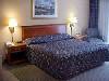 Holiday Inn Hotel and Suites New Smyrna Beach Daytona Beach