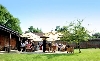 Image of 
